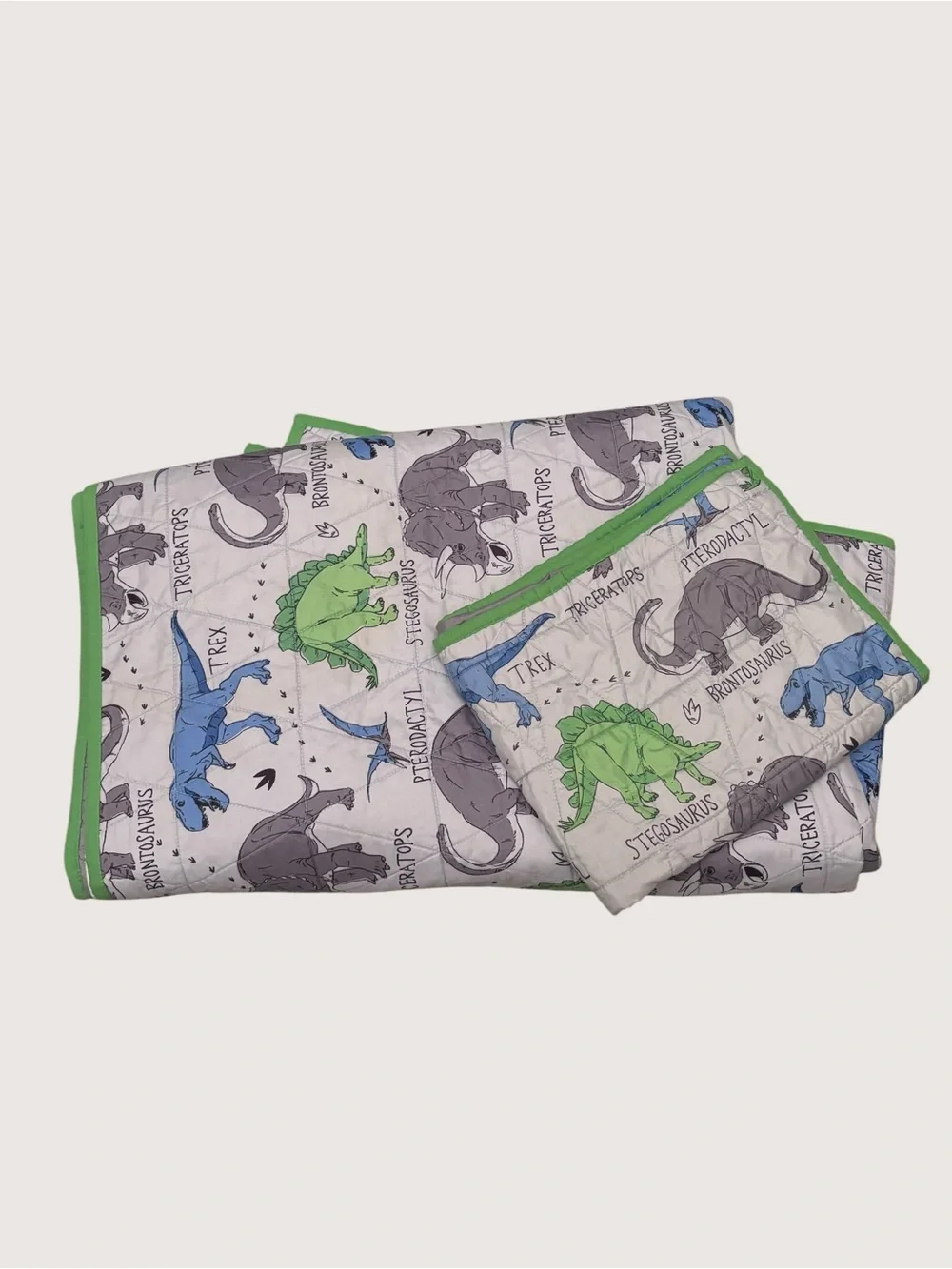 Kids Reversible Dinosaur Quilt Set‎ in Blue & Green